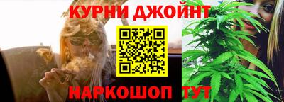 гидра Лесосибирск